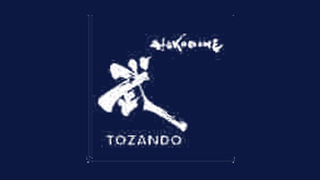 Tozando International logo